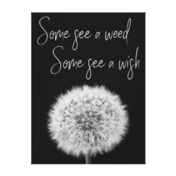 Dandelion Make a wish earrings - Picture 3 of 5